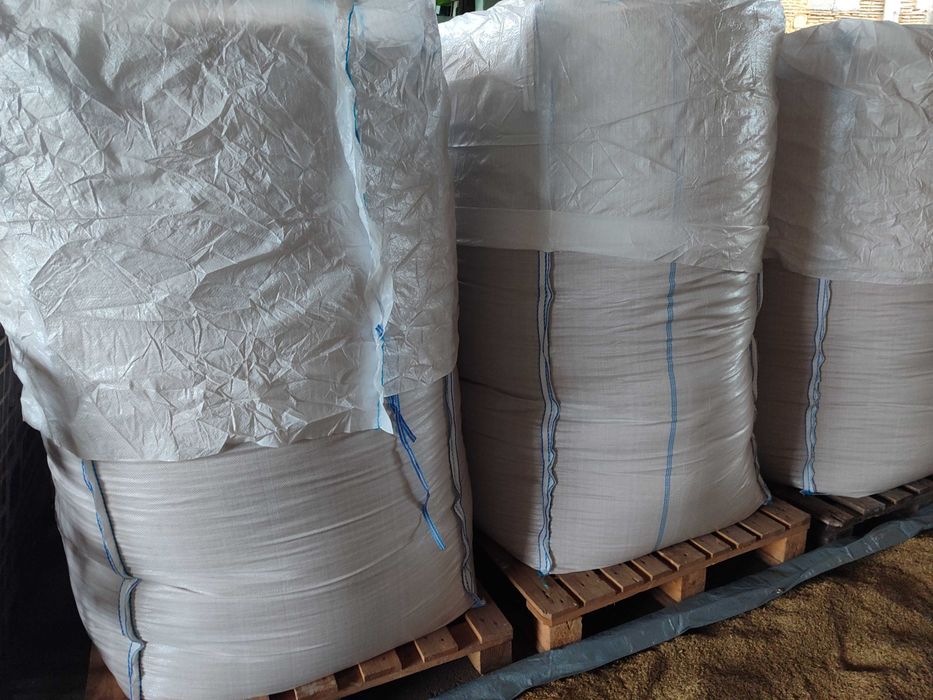 Просо жовте зерно, насіння, корм для папуг, птахів