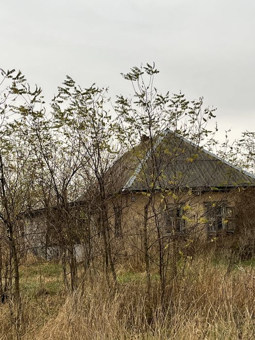Земельна ділянка з 2-ма будівлями в селі Орлівщина