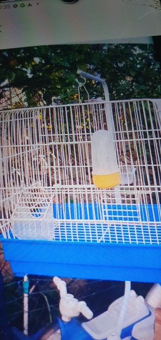 Gaiola para piriquitos ou canários