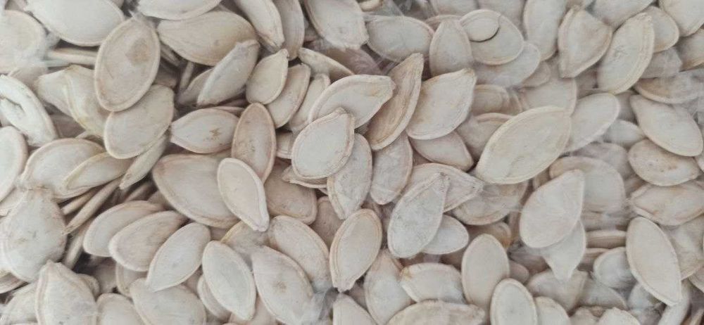 ‼️ Насіння Гарбуза Свіжо-Сушене та Неочищене (смачно та корсно!)