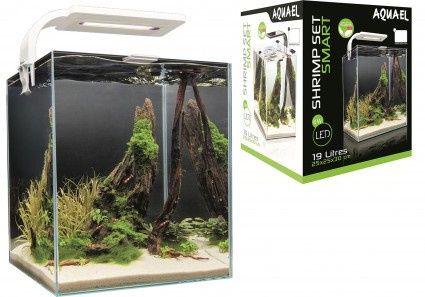 Akwarium/krewetkarium aquael shrimp set 19l AQUALIFE sklep zoologiczny