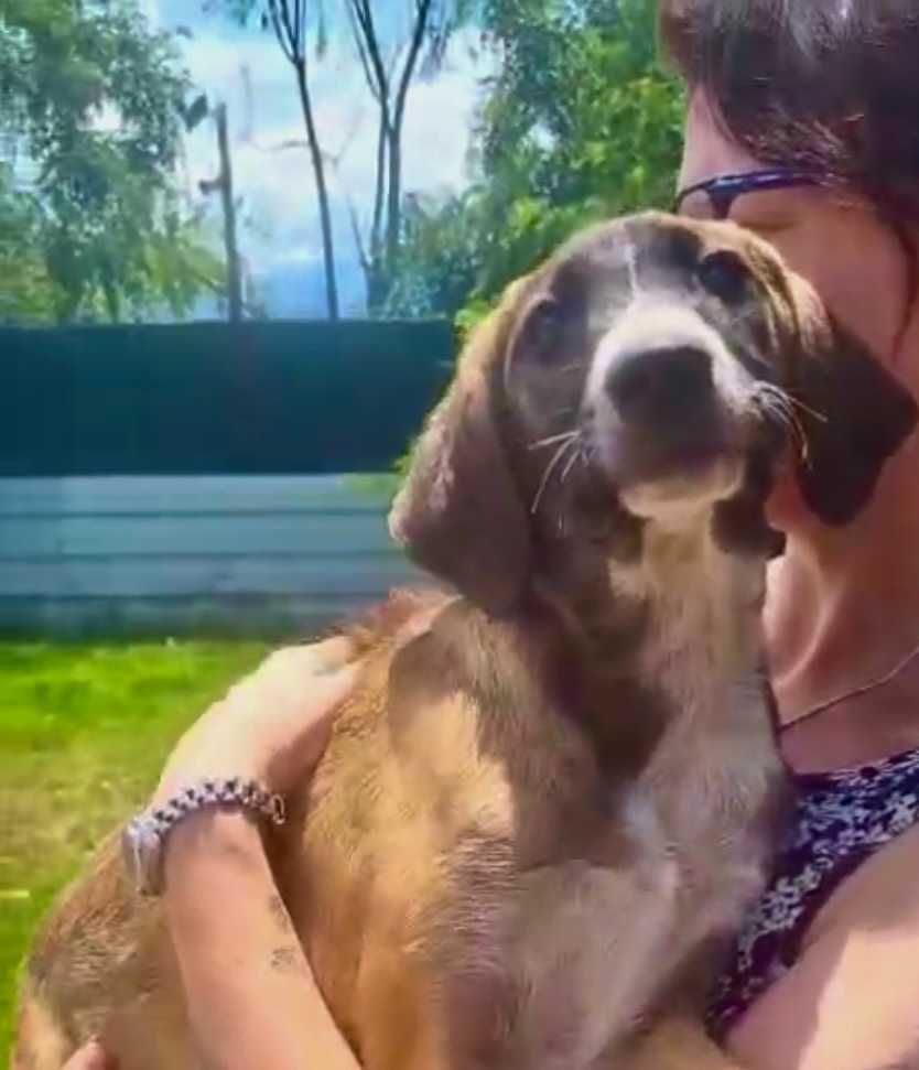 TRUFLA  4 mies sunia uratowana w Bułgarii do adopcji