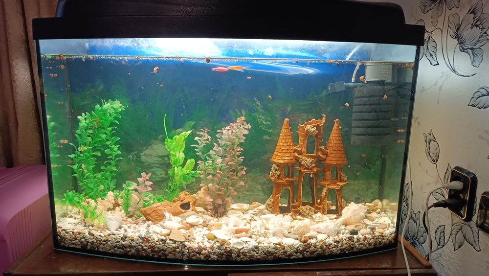 Акваріум 62*50*27