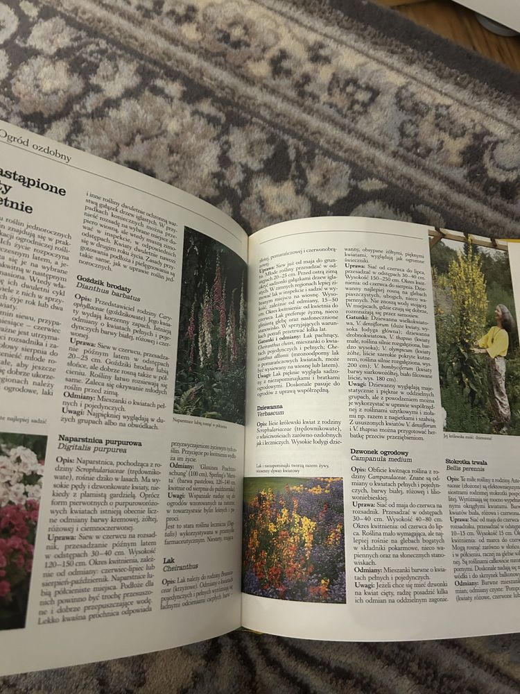 Ogród w zgodzie z naturą Marie-Luise Kreuter