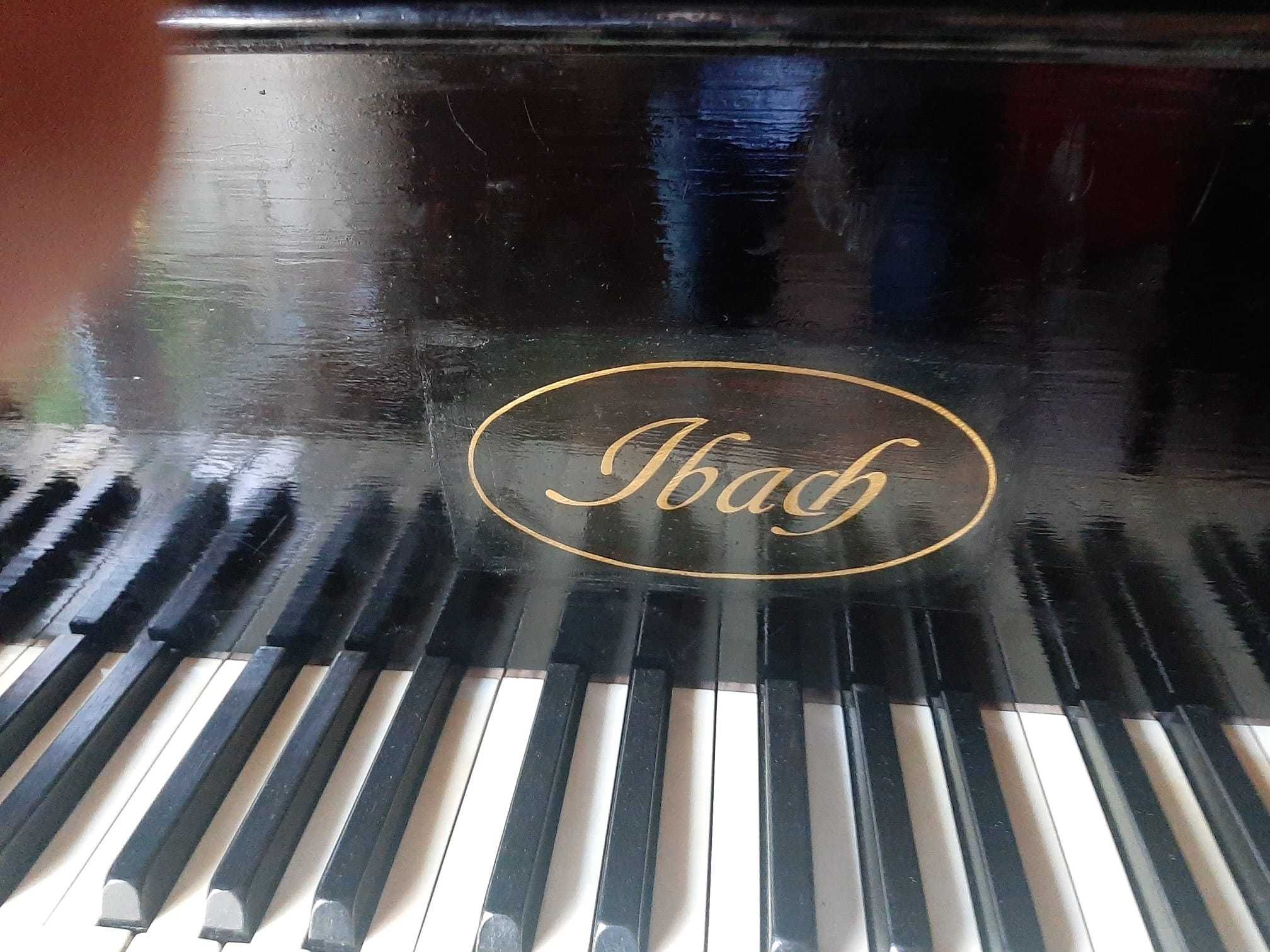Piano Ibach esplendido