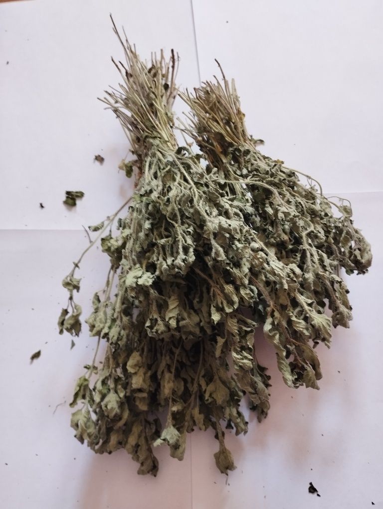 oregano suszone 50 g