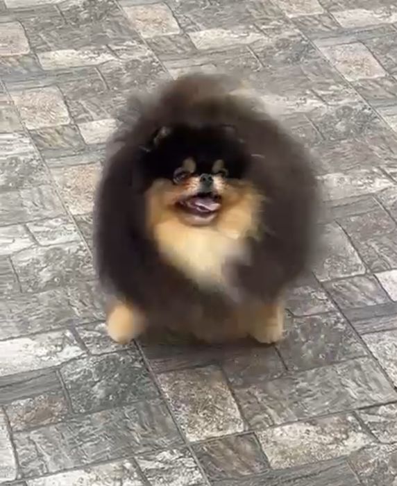 Супер красень чекае дам