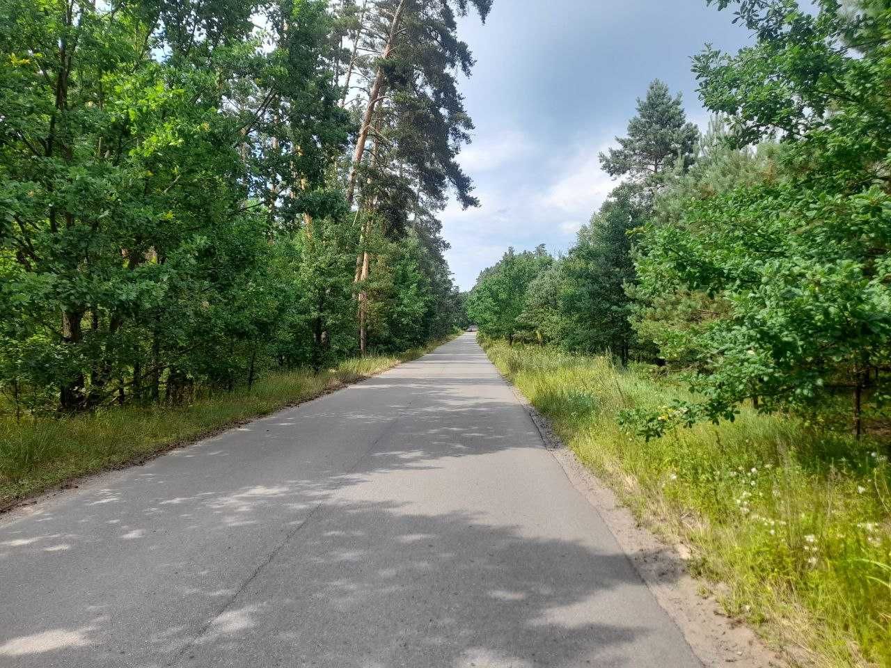 Ділянка для будинків під сдачу в оренду. Перша ділянка біля лісу