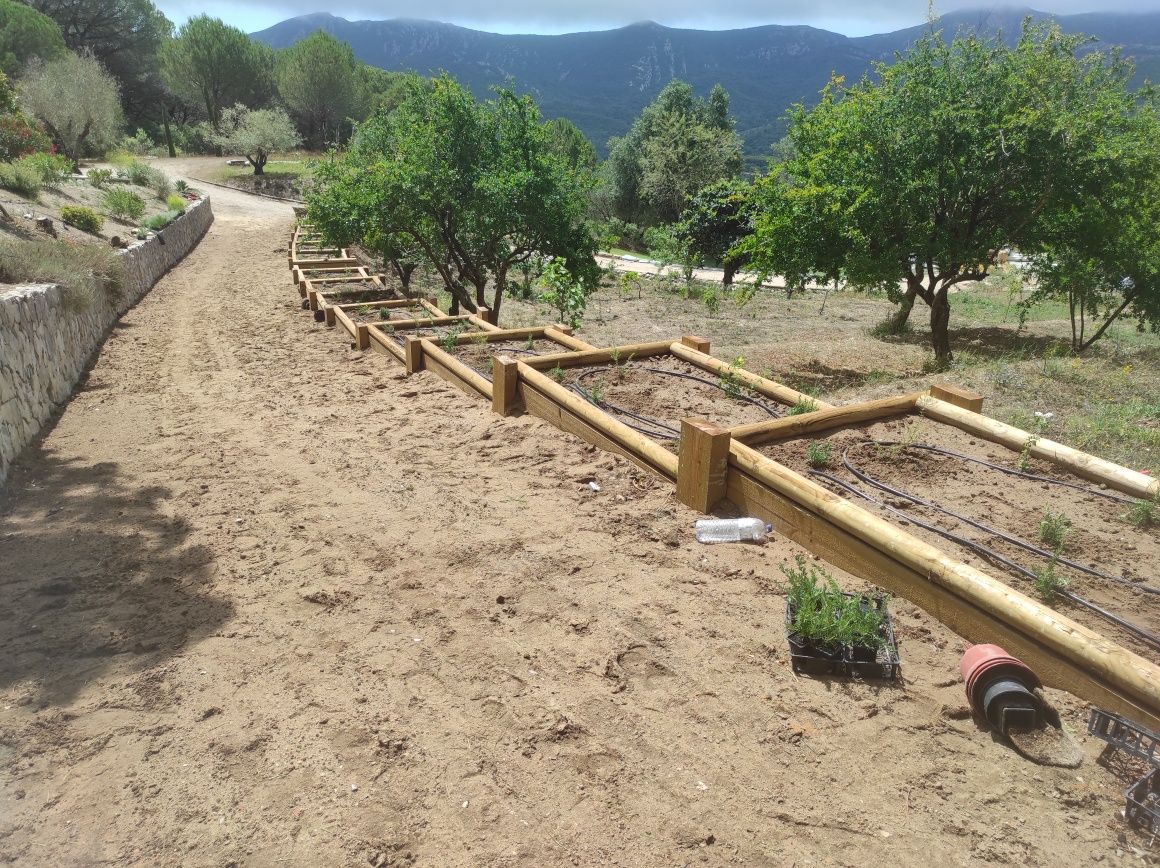 Jardins. Manutenção e Construção de Jardins.