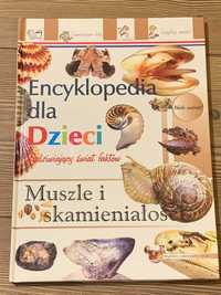Książka Muszle i skamieniałości dla dzieci