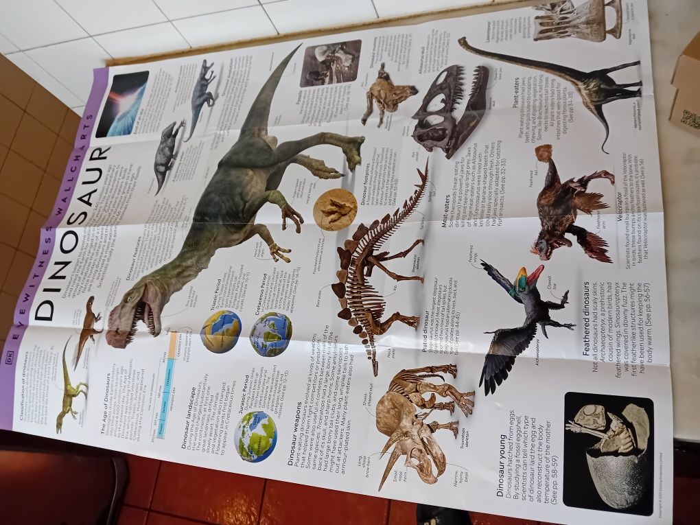 Poster Dinossauro