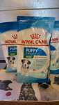 Royal Canin Mini Puppy 4 kg Karma Dla Szczeniąt Ras Małych WYPRZEDAŻ