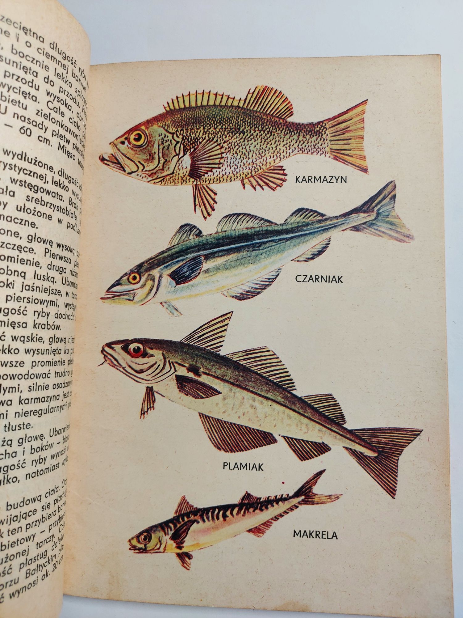 Ryby w codziennym żywieniu - Leonard Duklewski