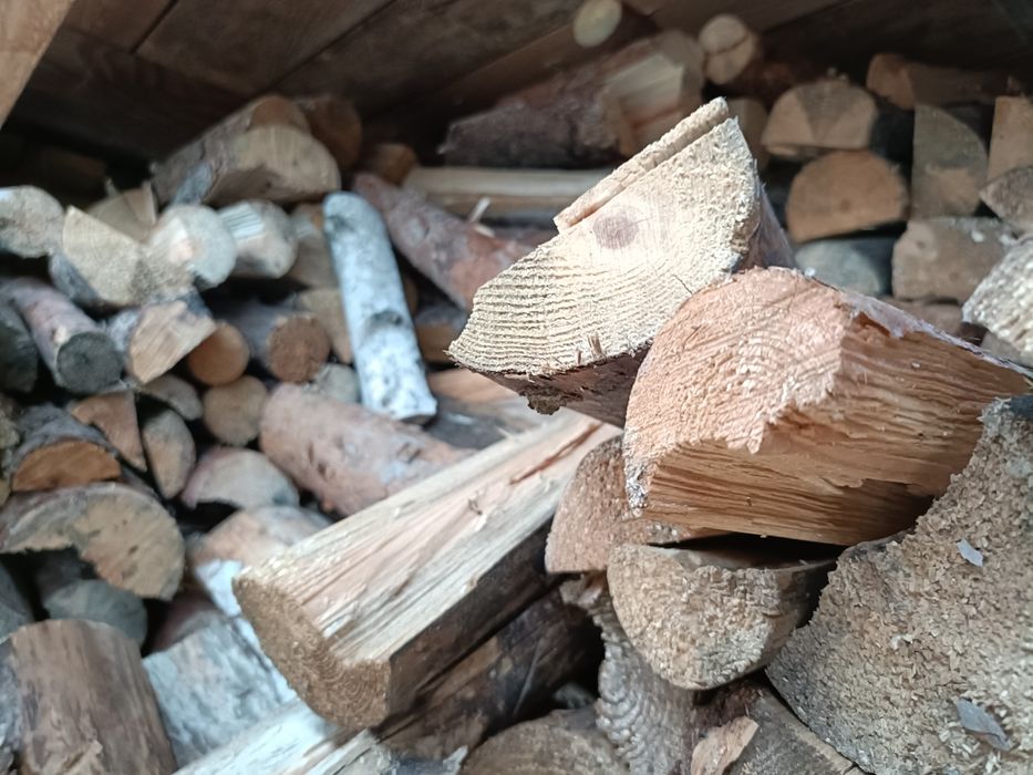 Sprzedam drzewo opałowe