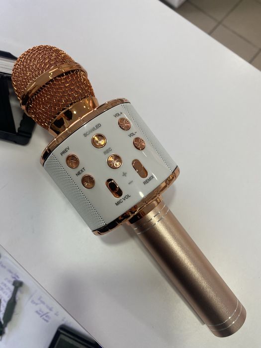 Дитячий мікрофон