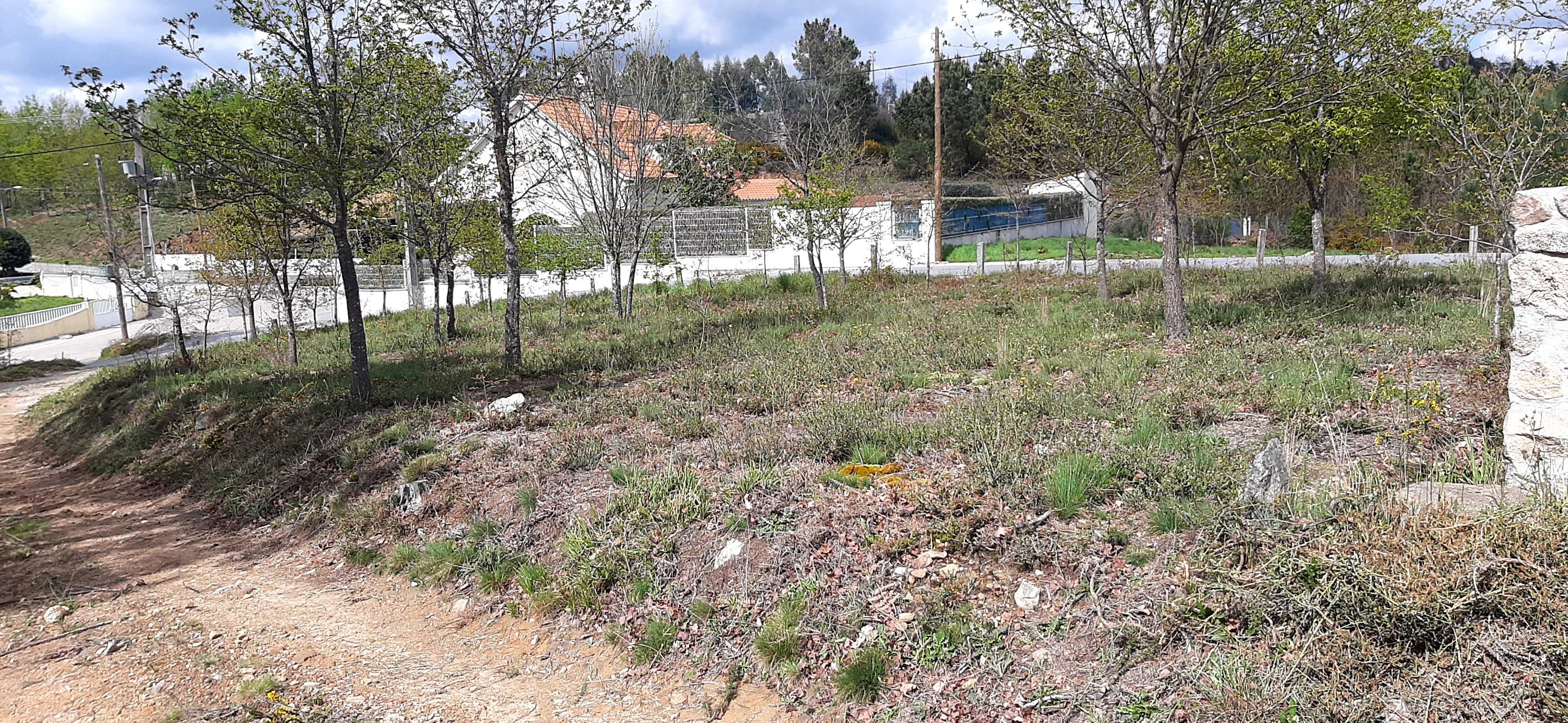 Terreno construtível muito bem localizado
