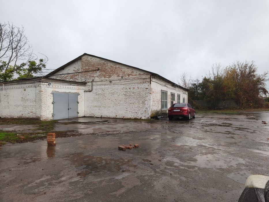 Здам в оренду.Дешево.