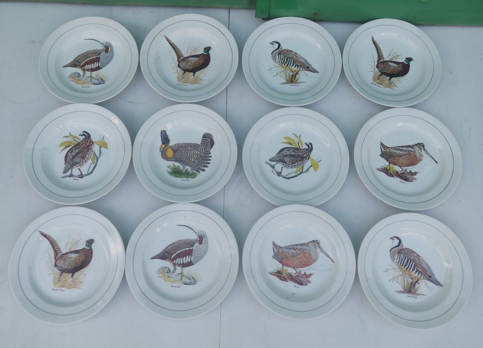 Pratos Antigos várias marcas