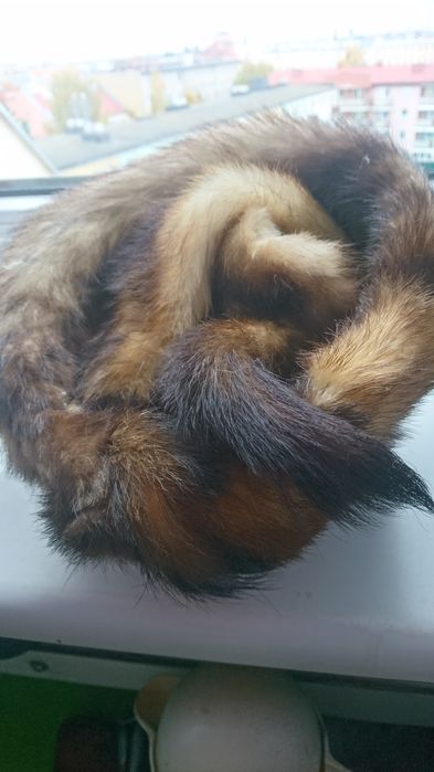 Czapka z szalem tchurzofretki czy lisa