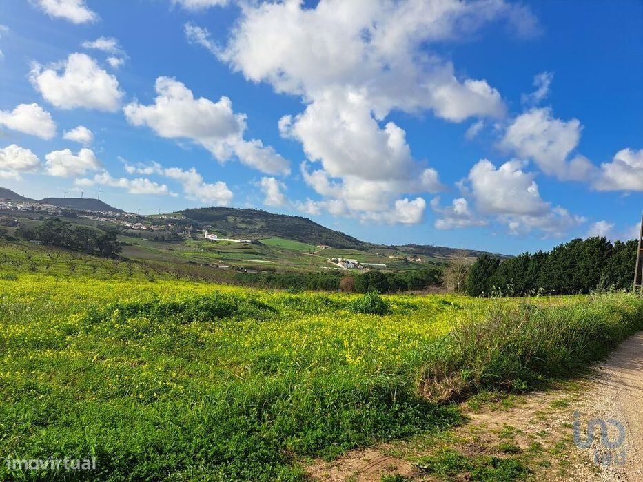 Terreno em Azueira e Sobral da Abelheira de 64562,00 m2