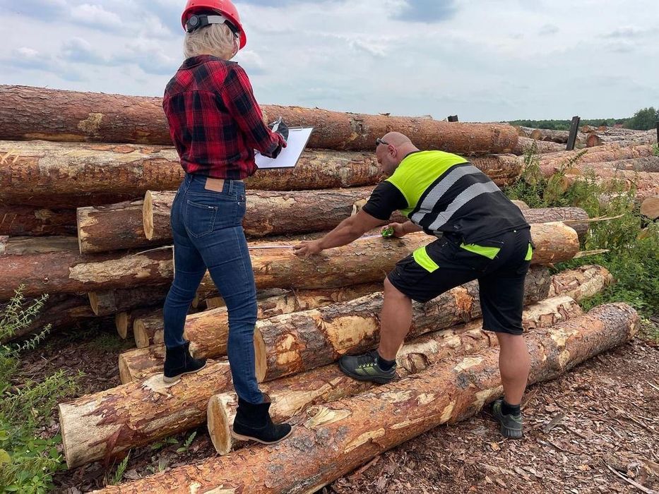 SUCHE Drewno kominkowe opałowe Zgierz Łódź Ozorków Aleksandrów Emilia