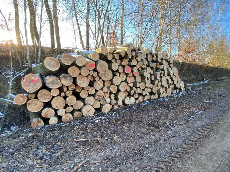 Drewno opałowe sosna, olcha, brzoza, dąb Góra Kalwaria Baniocha Chynów