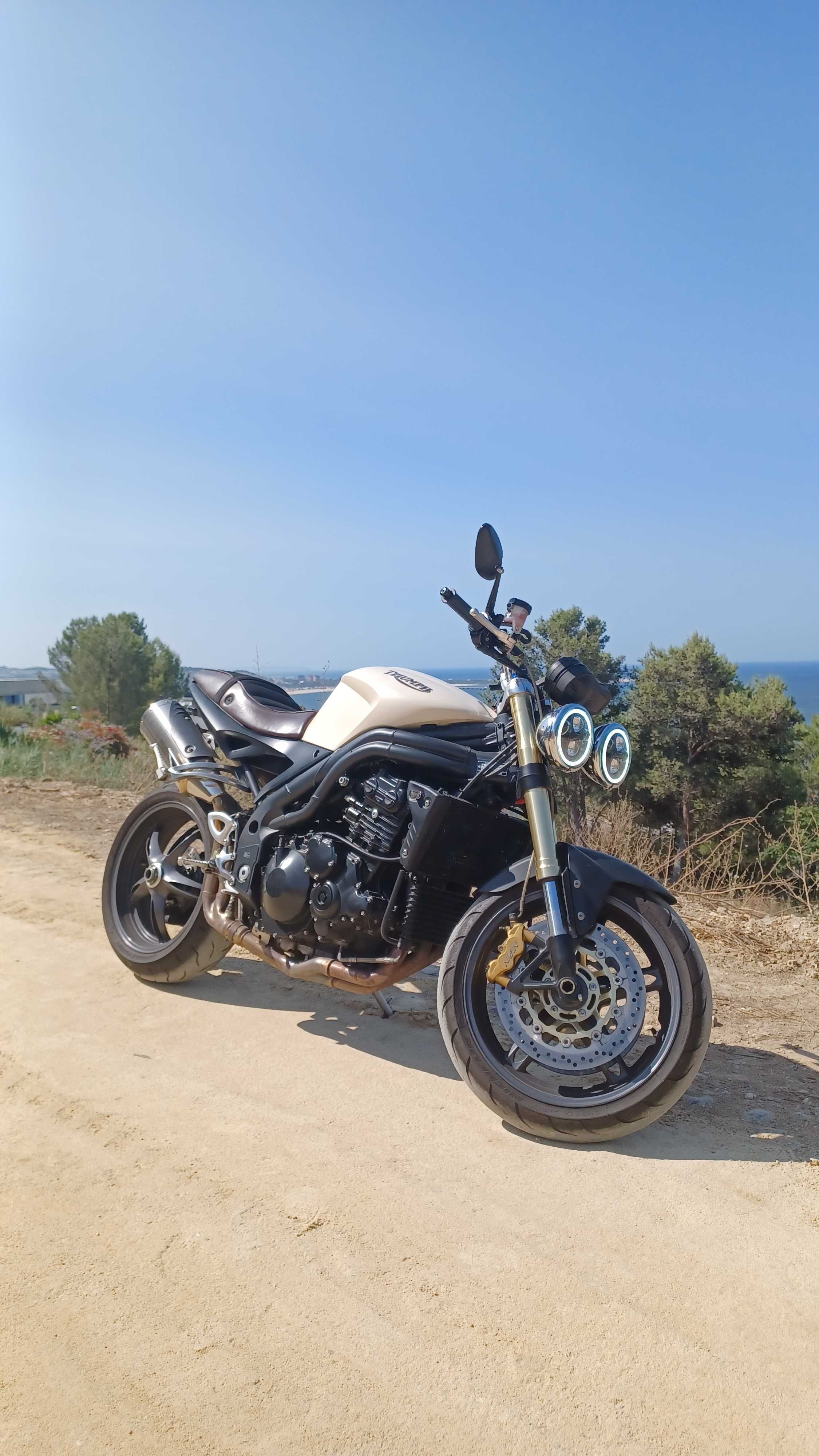 Triumph Speed Triple 1050cc 2006