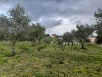 Limpeza de terrenos