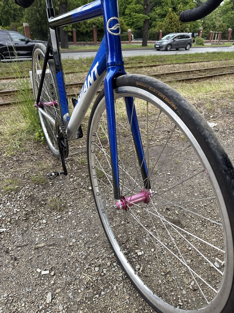 Fixed gear Ostre koło Giant omnium Mack