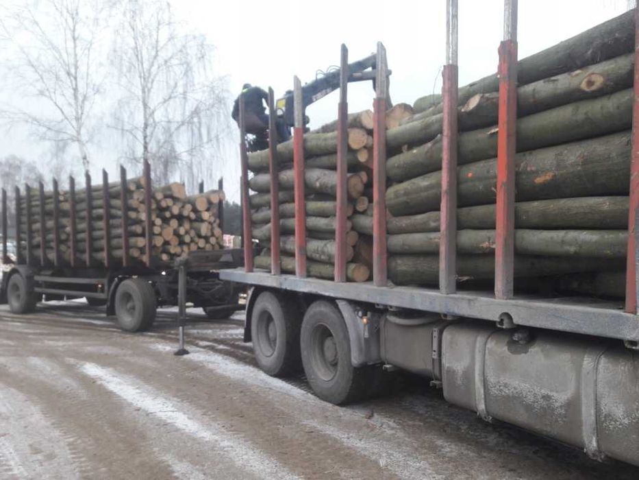 Drewno drzewo opałowe kominkowe DĄB CZERWONY SOSNA