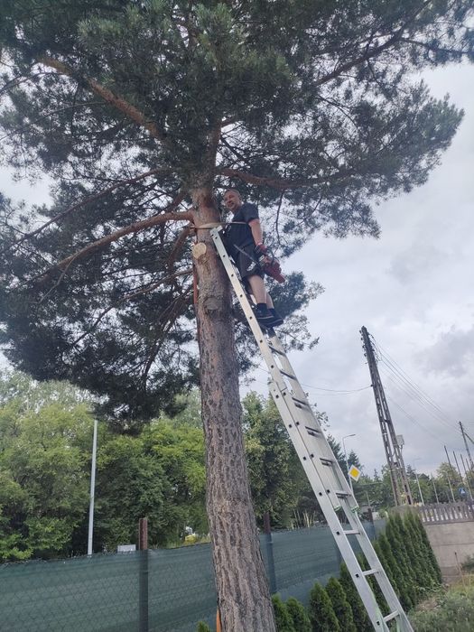 Złota rączka wszelkie naprawy awarie pomoc.