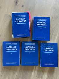 Anatomia czlowieka Bochenek 5 tomow