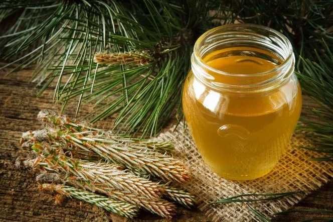 Syrop z pędów sosny 3 razy 500 ml