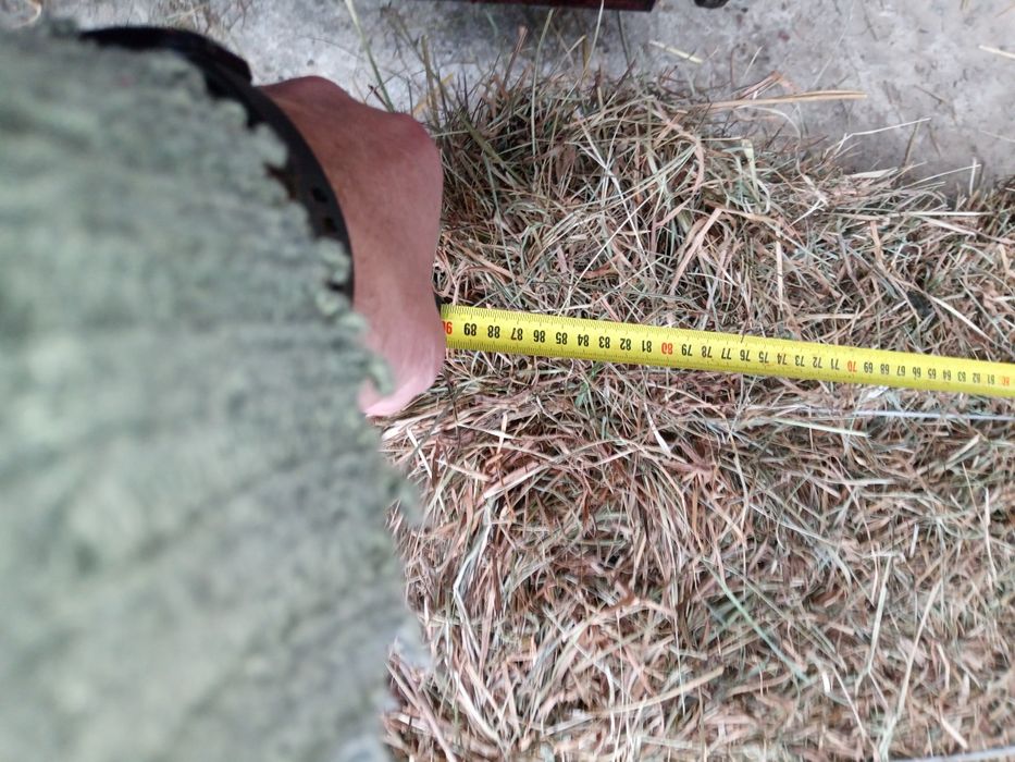 Sprzedam siano w kostkach