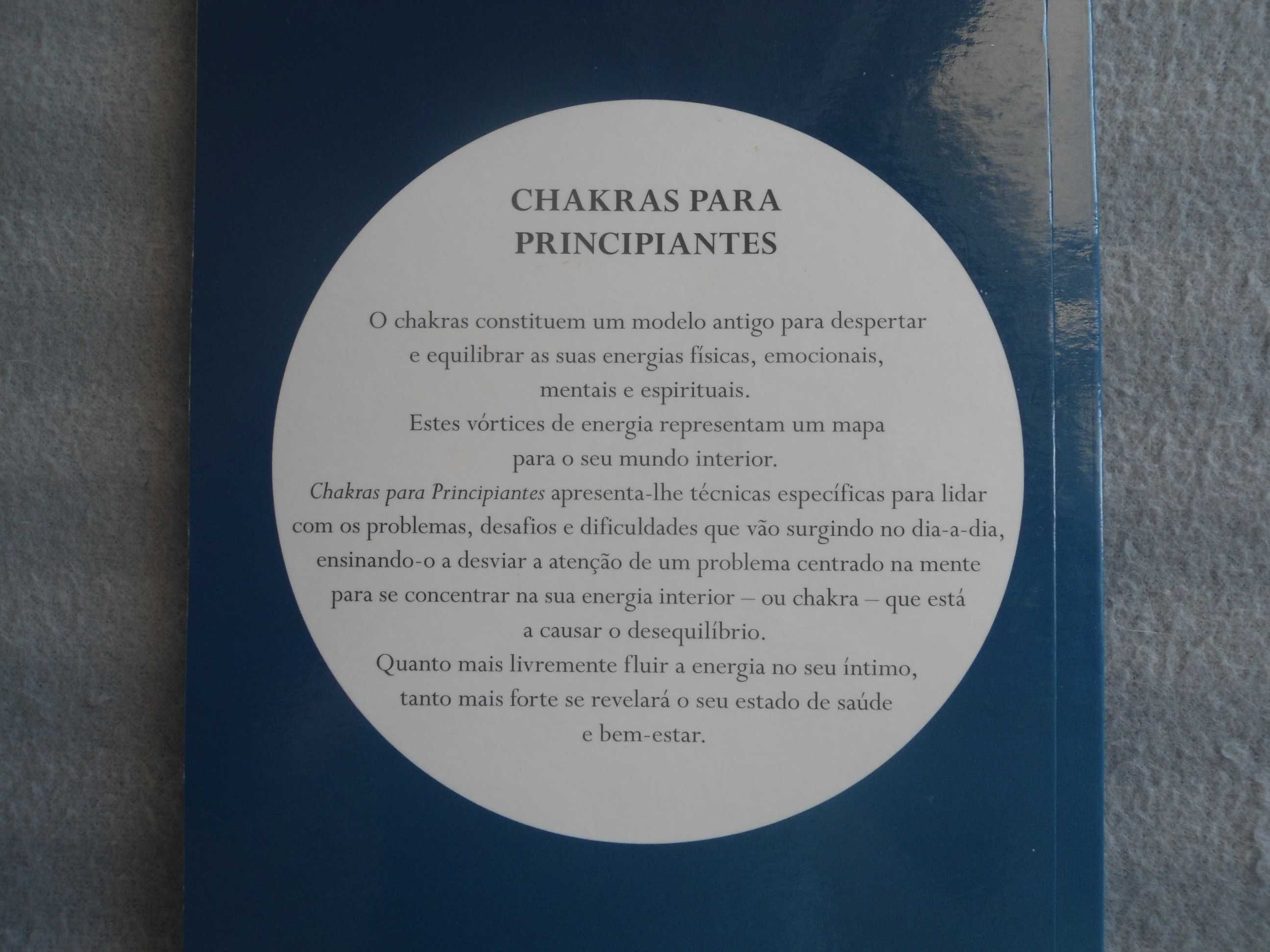 Chakras para principiantes-Para equilibrar a energia dos seus chakras