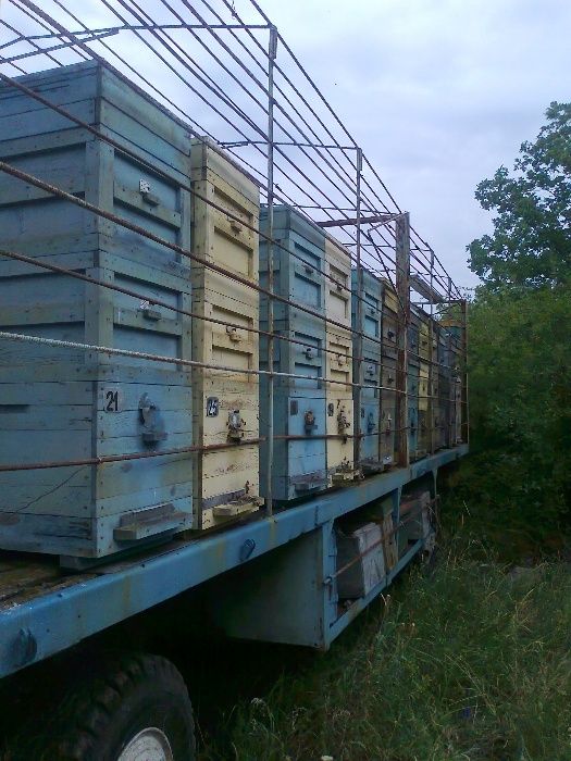 Павильйон для перевозки пчел .