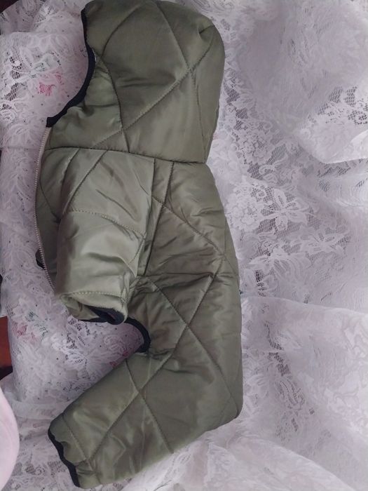 Одежда для маленьких собак