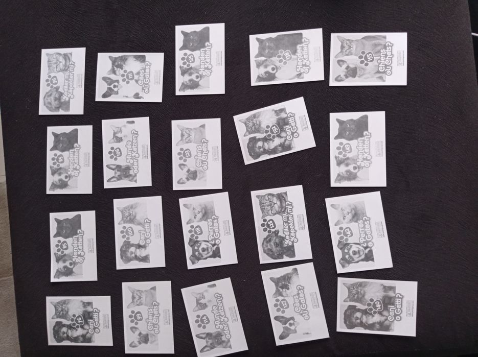 Cromos da coleção Cães ou Gatos
