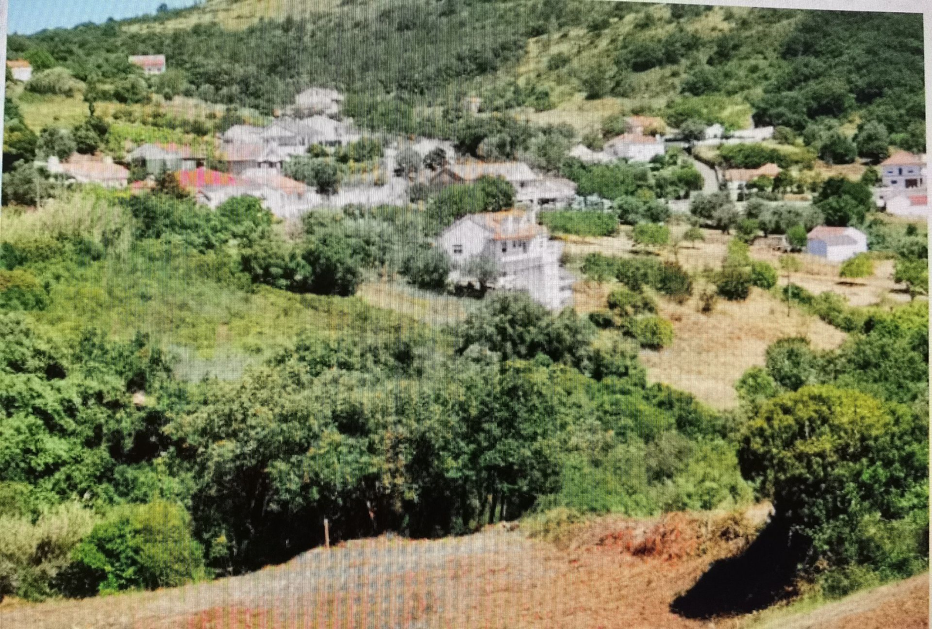 Terreno Rústico - Calhandriz - Adanaia - São João dos Montes