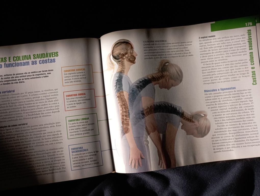 Livro ossos e músculos saudaveis