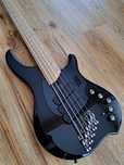 Dingwall NG3 Nolly Singature 5 | multiskala | fanned fret