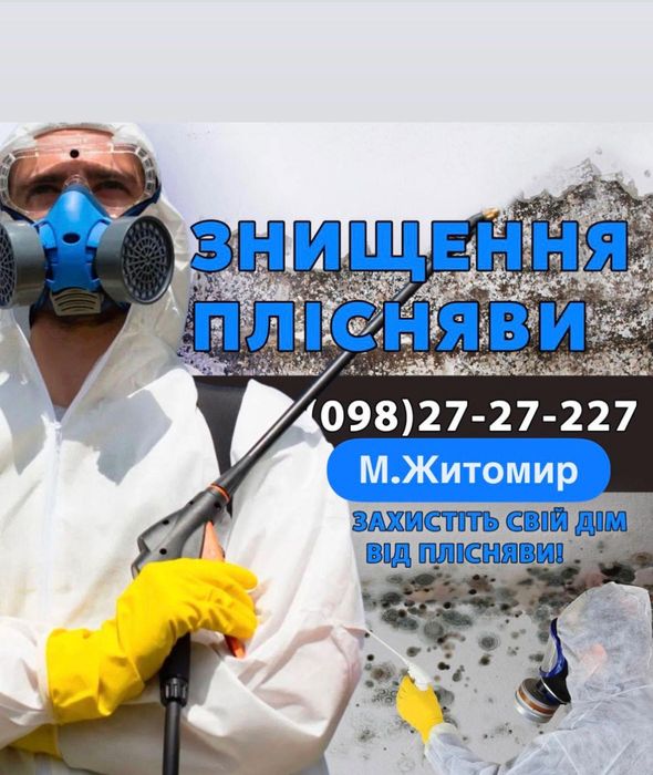 Знищення плісняви, видалення грибка , неприємних запахів , Дезінфекція