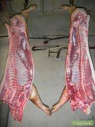 мясо свинина тушками півтушками мясна порода