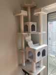 Arranhador para gatos
