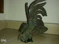 Galo em Bronze com 23 cms