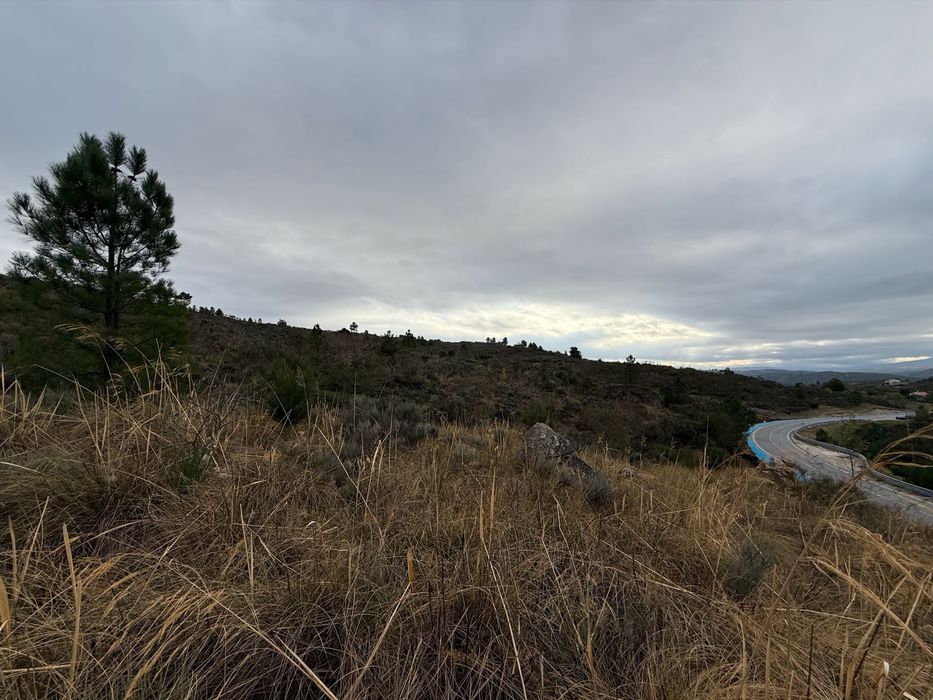 36,500m² Terreno / Plot of land