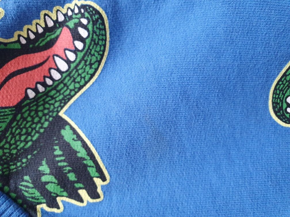 bluza dresowa 98 dino dinozaury toontoy bez kaptura