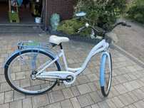 Rower damski bluebery