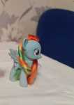 Поні, млп, іграшка, mlp, Hasbro, Рейнбоу Деш