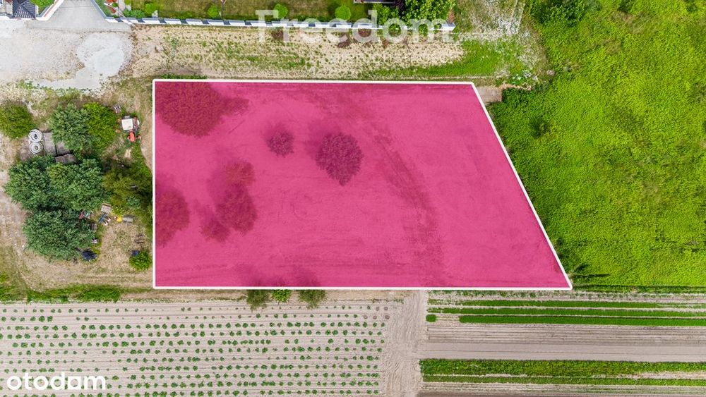 Ustawna działka budowlana na granicy z Warszawą